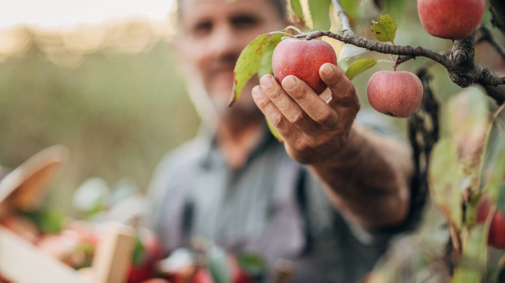 Zusammenarbeit, die Früchte trägt